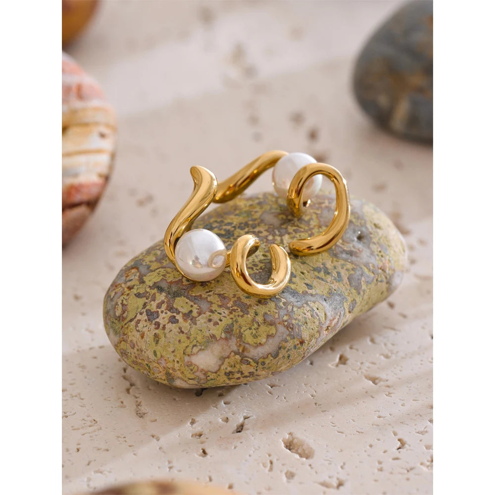 BITI SPIRAL EARNINGS
